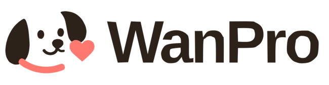 WanPro